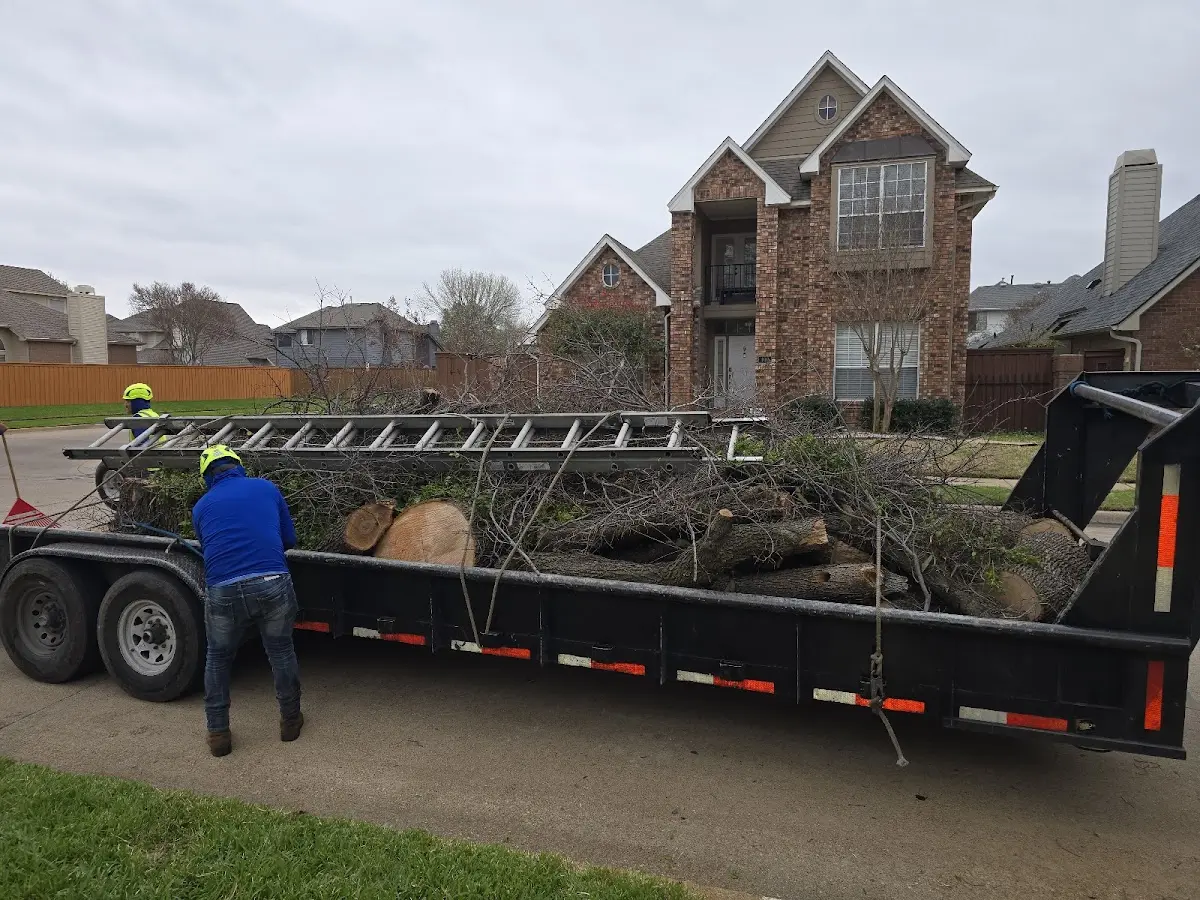 Expert Tree Removal with proper safety equipment in New Lisbon